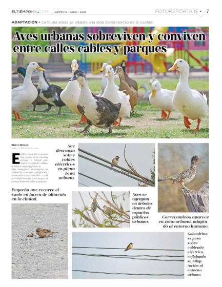 Edición impresa, hoja 7