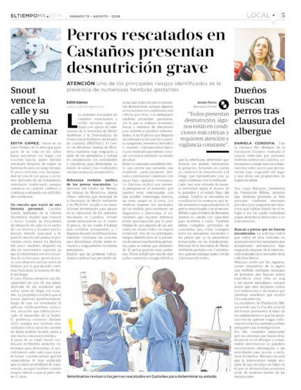 Edición impresa, hoja 5